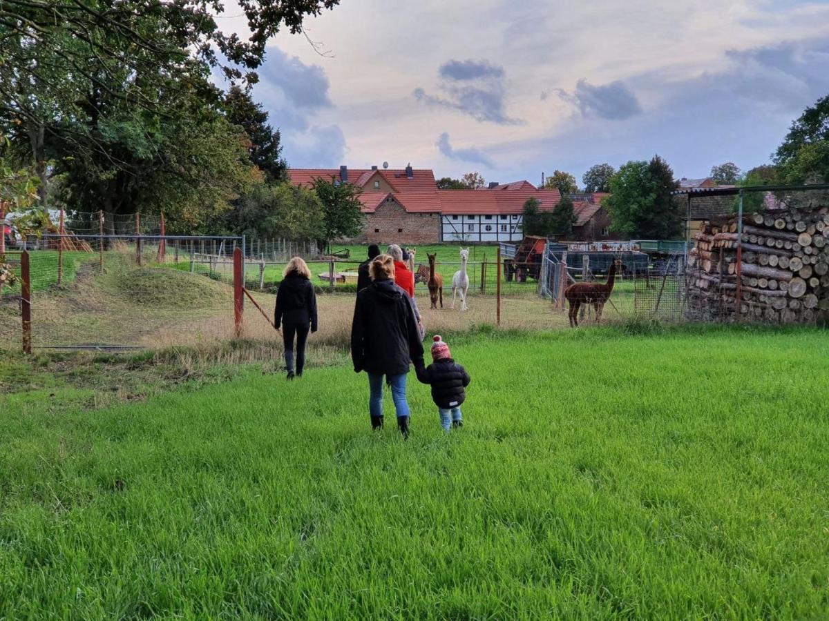 Gelbes Haus Seenland Ferienwohnungen Xl Elsterheide Exterior photo